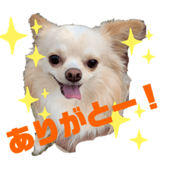 nozomi_20200511143938