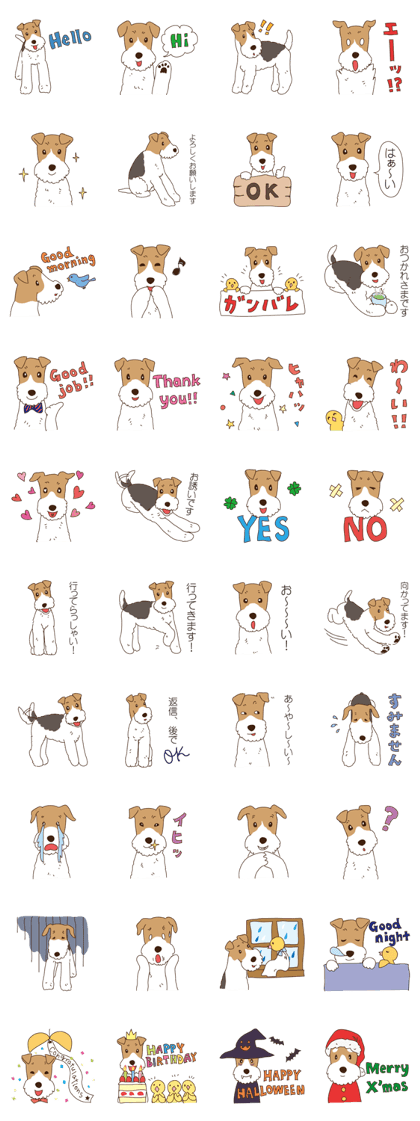 I love "Wirefox terrier"!!
