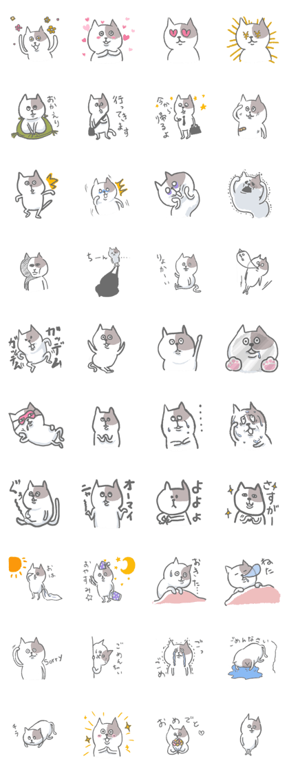 Mr.nya
