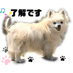 mynameisbare20200510