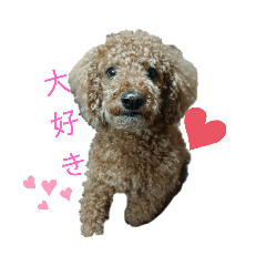 yun_20200511163137