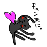 Idiom of black cat