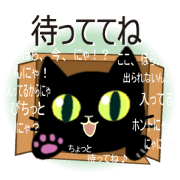 Too talkative black cat.