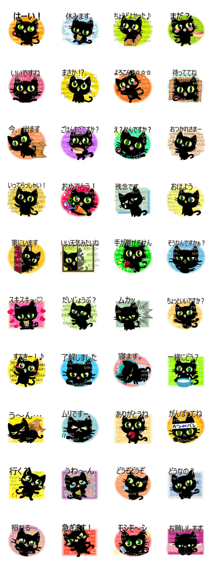 Too talkative black cat.
