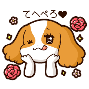 Cavalier's Love chan!