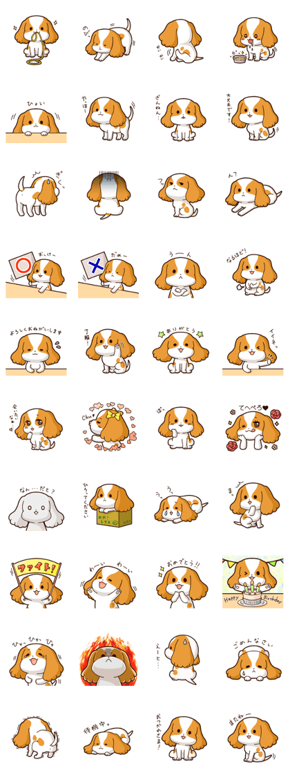 Cavalier's Love chan!