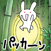 somehow rabbit