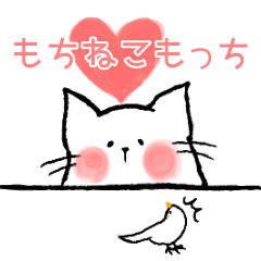 Happy cats Omochi's life