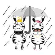 Zebra family's daily life