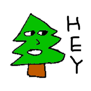 CEDAR TREES