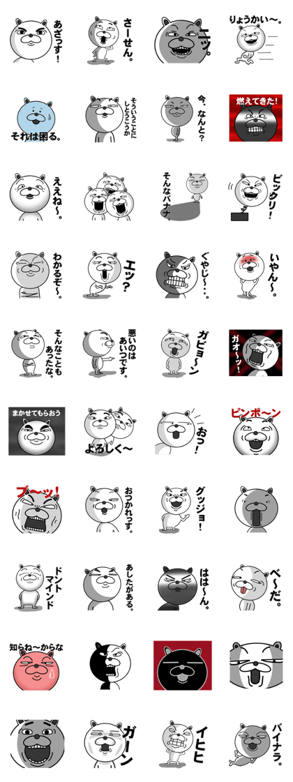 funny bear will make you happy.