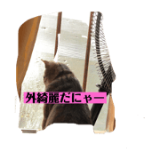hayate_20200511165517