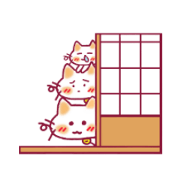 White cat group