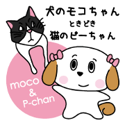 moco chan & P chan