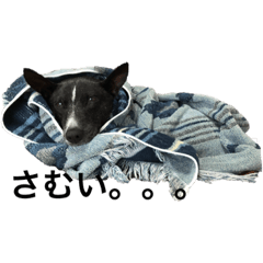 KAI _20100615EMI _19921013MAKI _19650324