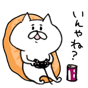 White cat of the Oita dialect 2