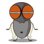 Flies diary