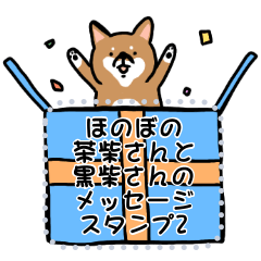 Message sticker of Mr. Shiba Inu 2