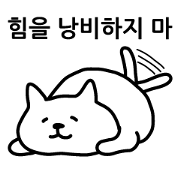 Cat lying down South Korea