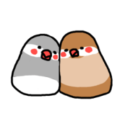 Naopipi's Java sparrow