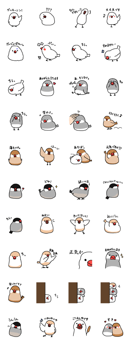 Naopipi's Java sparrow