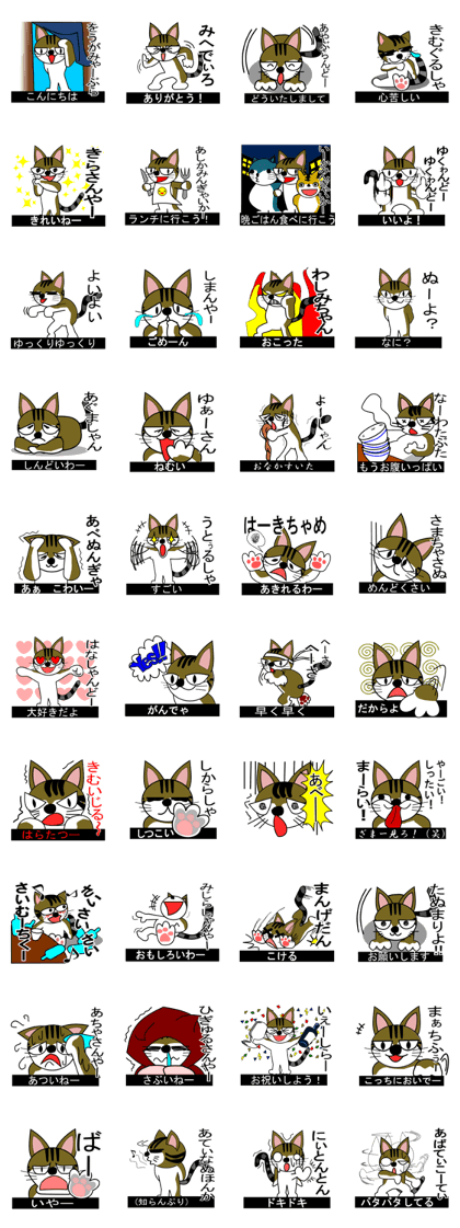 Gluttonous cat from erabu Gluttonous cat from erabu