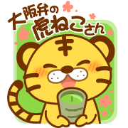 Osaka of tiger cat