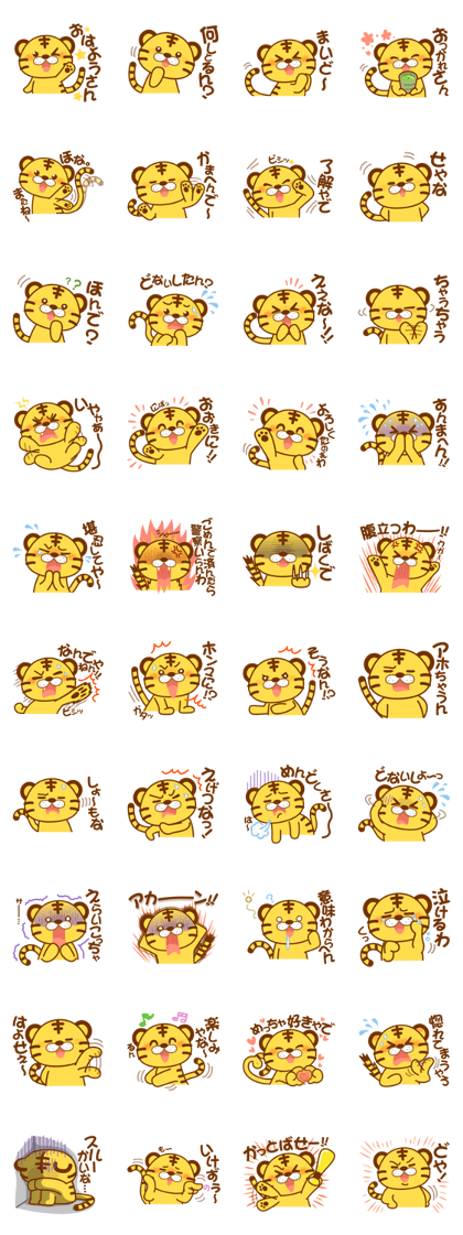 Osaka of tiger cat