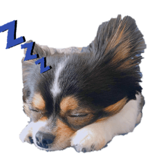 asuka_20200511192910