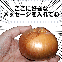 Message onion