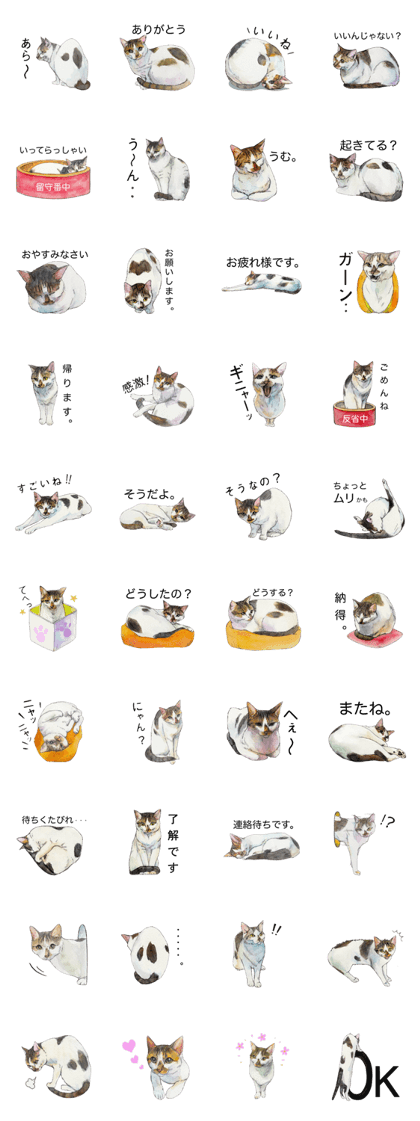 Hina of the cat.