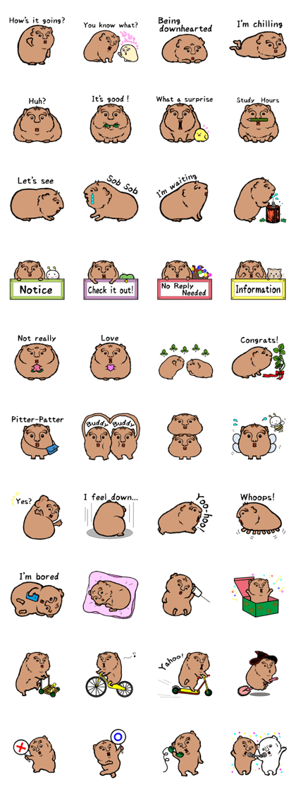 Ms.Morupopo (English version)