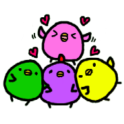 FOUR COLORS CHICKS