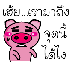 Pig Pig Love Love