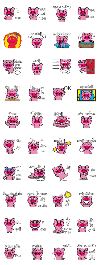 Pig Pig Love Love