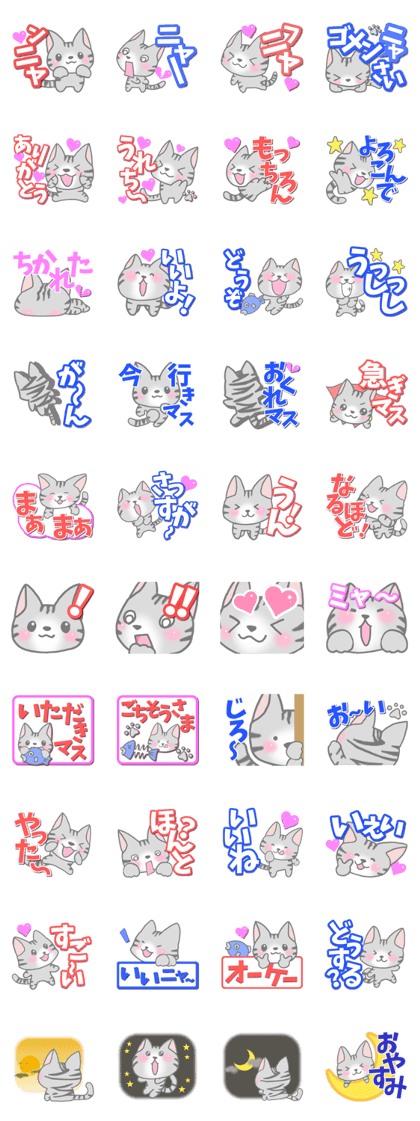 American Shorthair. Sticker of cat.
