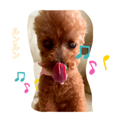 suzu_20200511190319