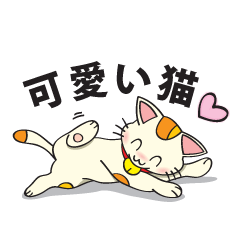 可愛い猫 (日本語)