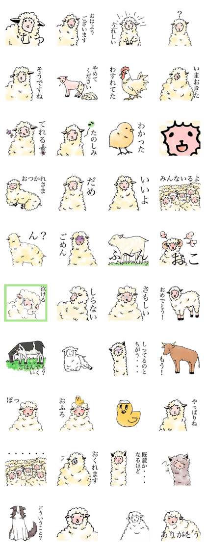 The cute lazy sheep