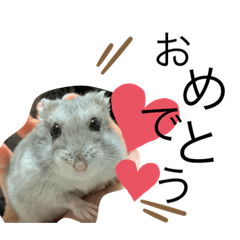 little angel Sasami chan