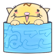 NECOCO of the kitten