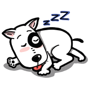 Bull Terrier White Dog