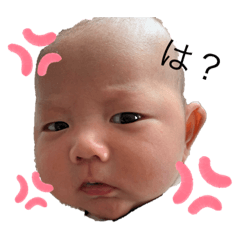 RISA_20200511135031