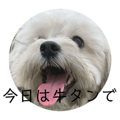 yun_20200511205955