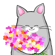 Cat J.J