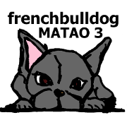 I am MATAO! Iam frenchbulldog!! part3