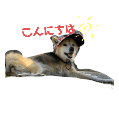 chie_20200511222824