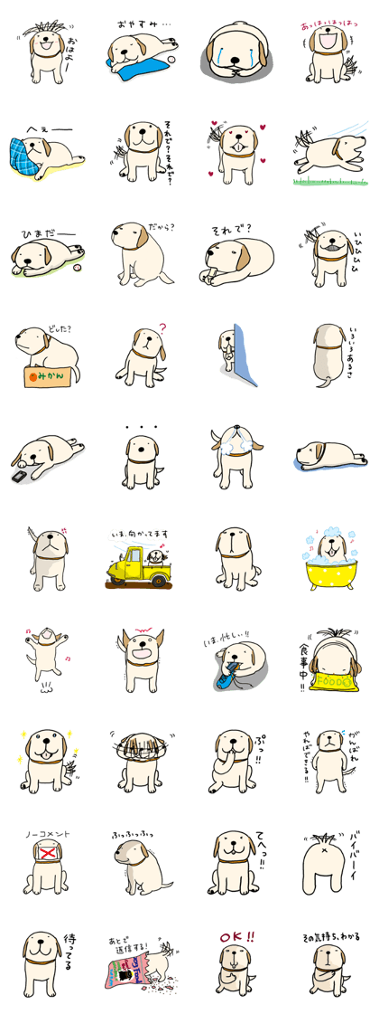 Labrador Puppy...maybe Labrador Puppy...maybe