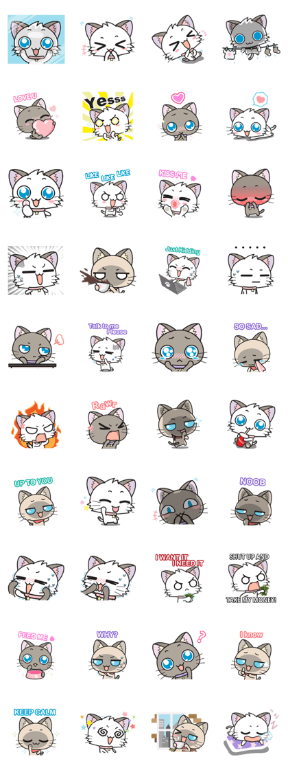 Hoshi & Luna Diary 6