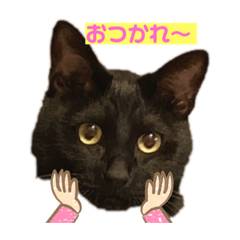 saori_20200511224224